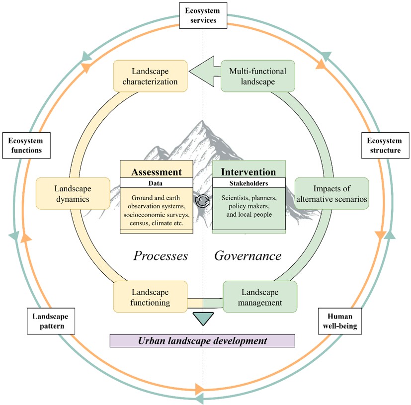 Circular framework diagram